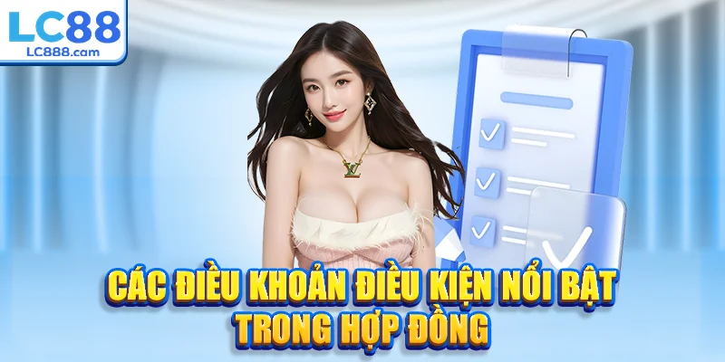 Các điều khoản điều kiện nổi bật trong hợp đồng