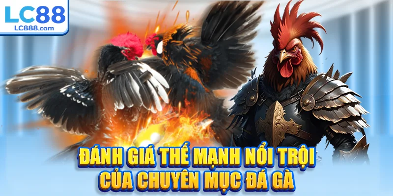 Đánh giá thế mạnh nổi trội của chuyên mục Đá Gà