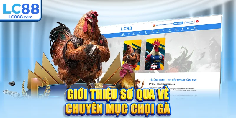 Giới thiệu sơ qua về chuyên mục chọi gà