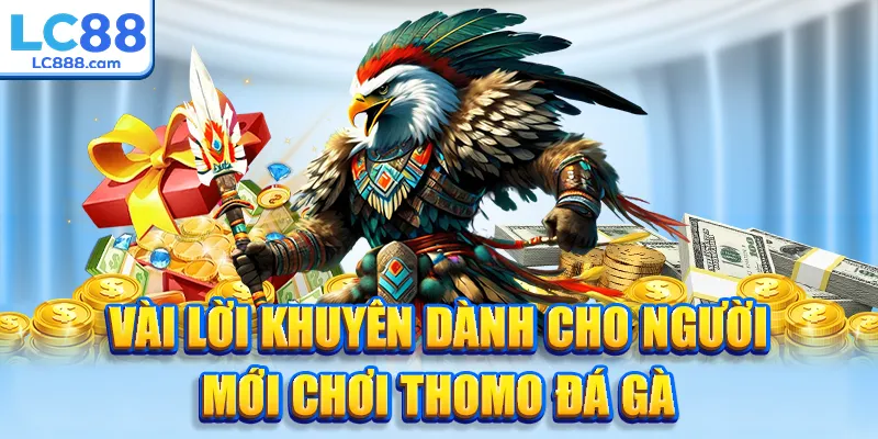 Vài lời khuyên dành cho người mới chơi thomo đá gà